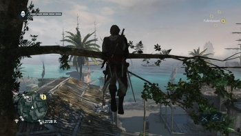 Assassin's Creed 4 Screenshot
